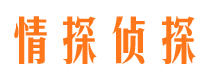 公主岭市私家调查